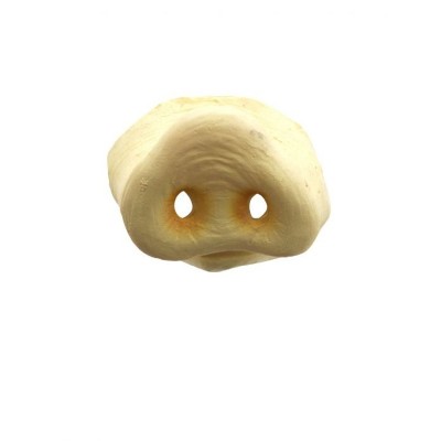 Prasečí rypák