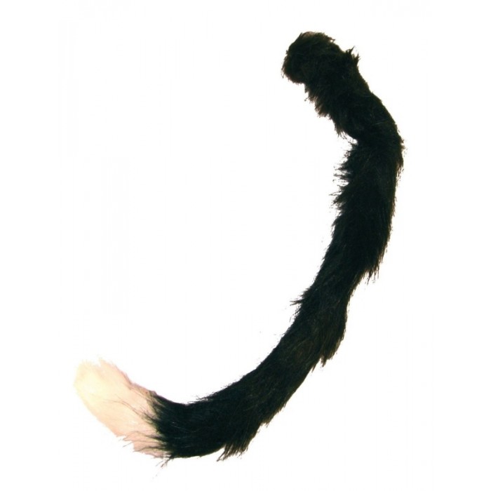 Kočičí ocas 50cm
