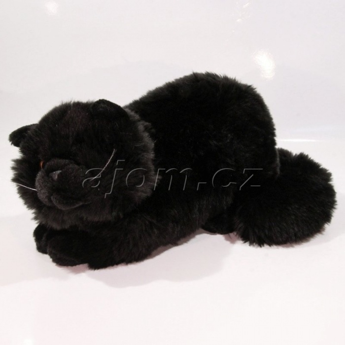 Černá kočička pitcures