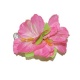 Spona havaj - růžové květy 12cm