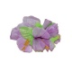Spona havaj - fialové květy 12cm