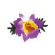 Spona havaj fialový květ 14cm