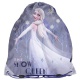 Školní pytel vak sáček Frozen 2 Ledové království Elsa Snow Queen