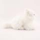 Plyšová Kočka bílá 25 cm eco-friendly