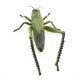Gumová kobylka 21 cm