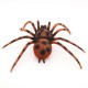 Gumový pavouk 20 cm