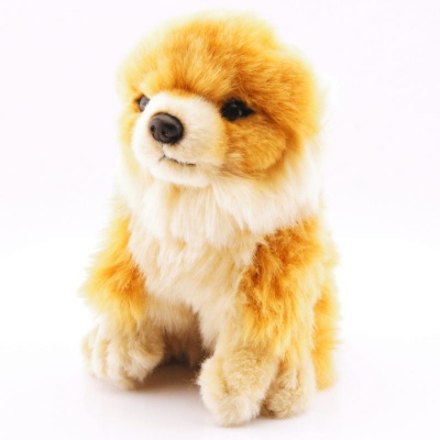 Plyšový pes Pomeranian 21 cm eco-friendly