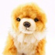 Plyšový pes Pomeranian 21 cm eco-friendly