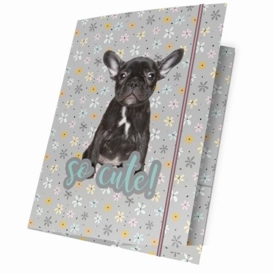 Desky s gumou A4 Pes buldoček