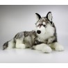 Plyšový Pes husky MAXI 100cm