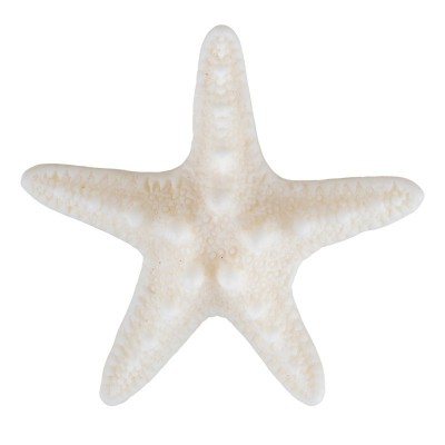 Sponka hvězdice mořská panna