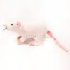 Plyšová krysa bílá 19cm