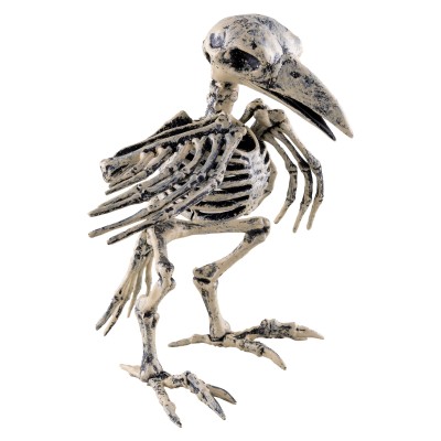 Kostra kostlivec pták 20cm
