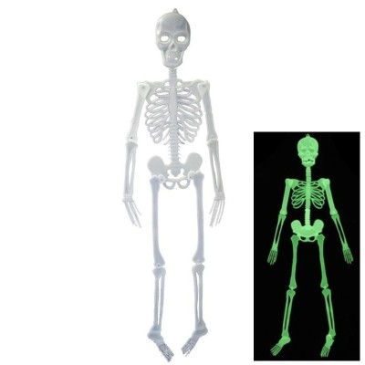 Plastová kostra 150cm fosforeskující