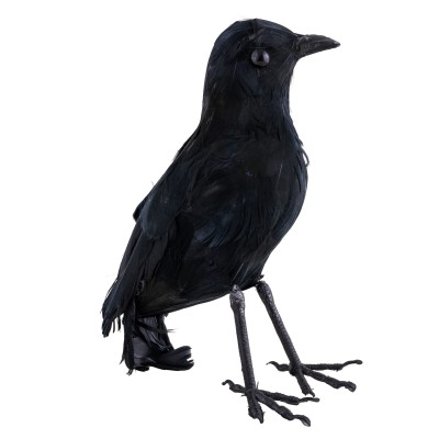 Černá vrána dekorace 35cm