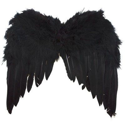 Křídla černá menší 34 x 33 cm