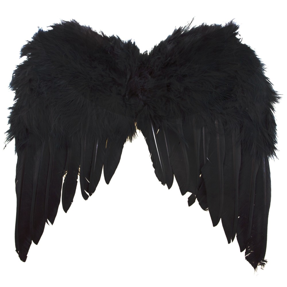 Křídla černá menší 34 x 33 cm