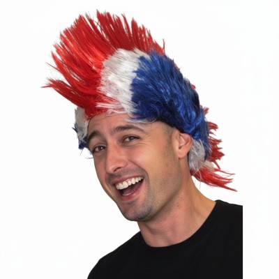 Paruka punk český fanoušek