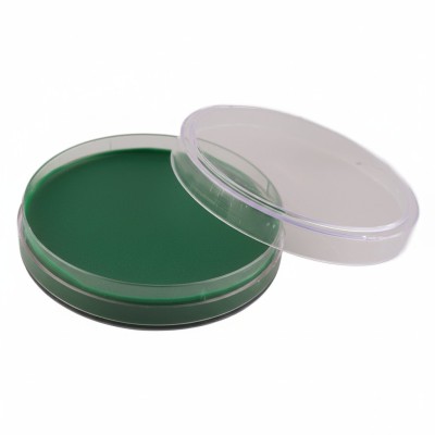 Karnevalový make up zelený