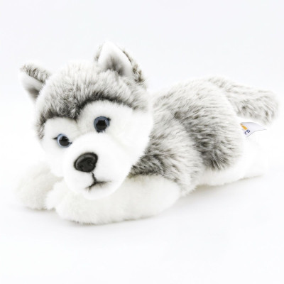 Plyšový pes Husky ležící 23 cm