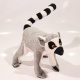 Plyšový Lemur