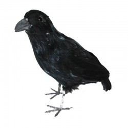 Černá vrána dekorace 35cm