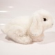 Plyšový Zajíček - bílý