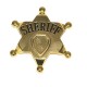 Hvězda Šerif kovová