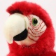 Plyšový Papoušek červený 26cm