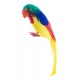 Papoušek barevný 30cm
