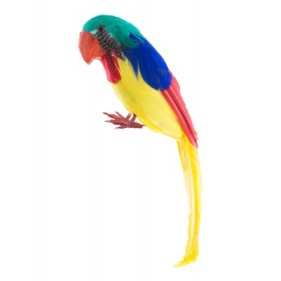 Papoušek barevný 30cm